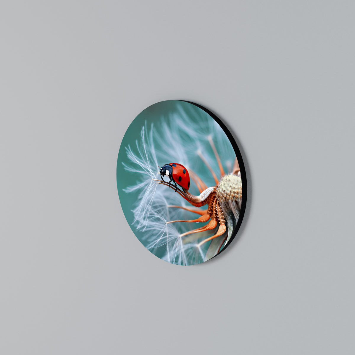 LADYBUG BALANCE Arte de pared redondo