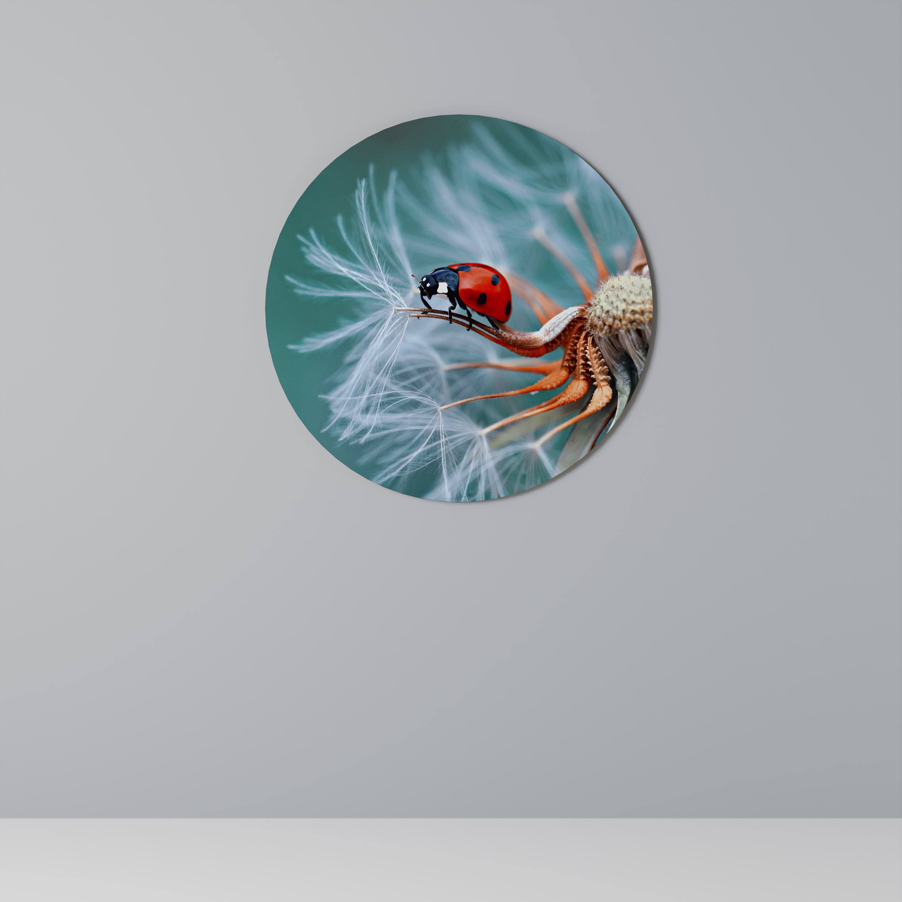 Arte de pared redondo LADYBUG BALANCE