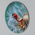 LADYBUG BALANCE Round Wall Art