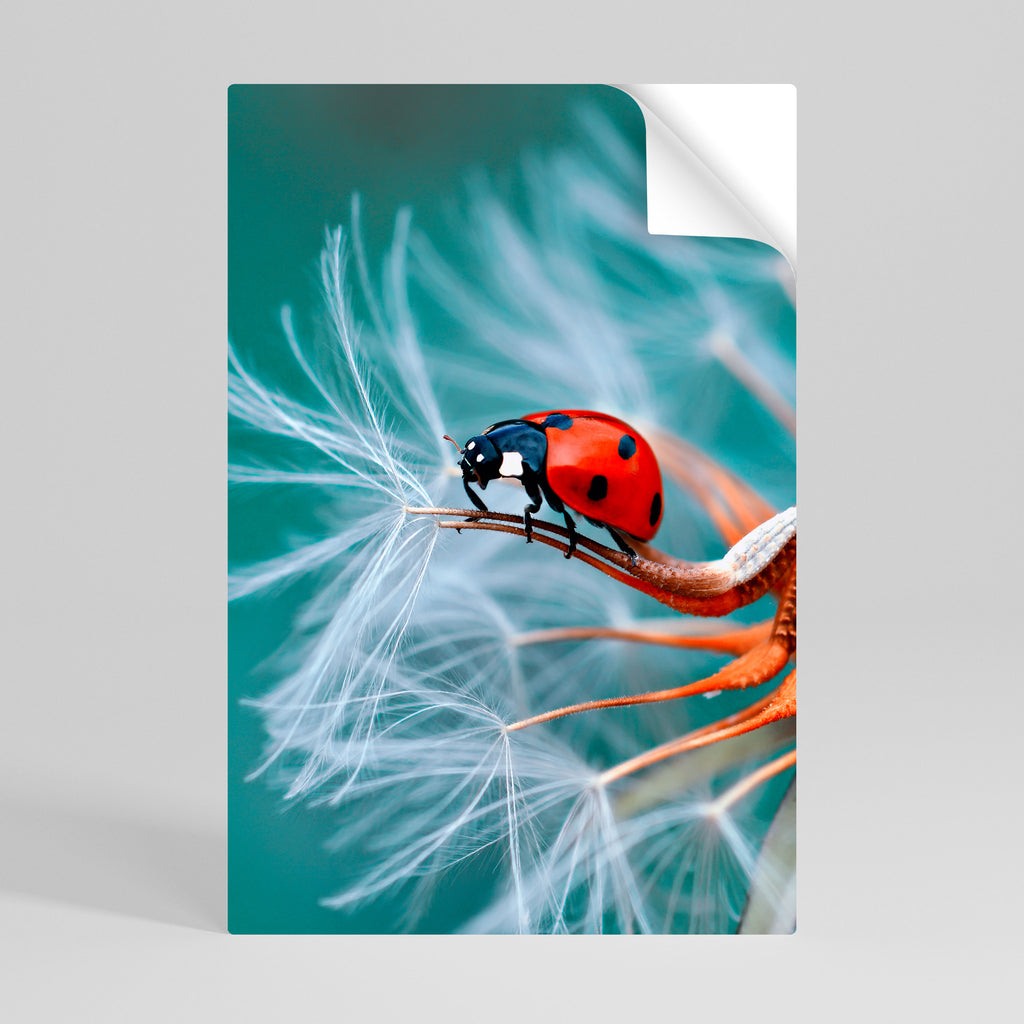 Póster vertical autoadhesivo LADYBUG BALANCE