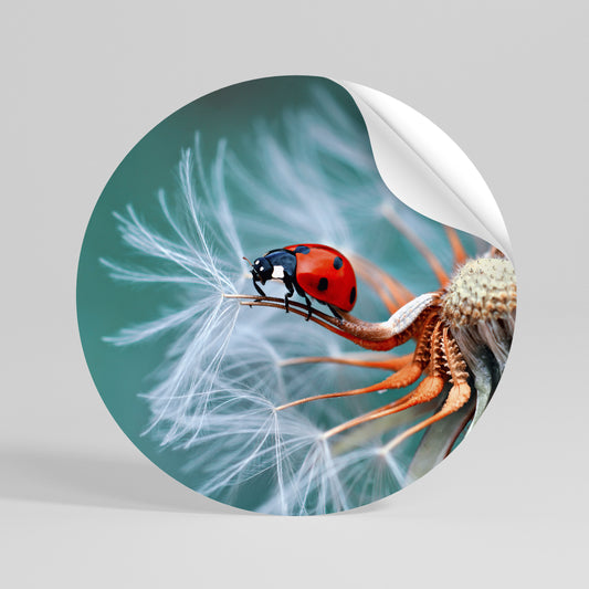 LADYBUG BALANCE Vinilo adhesivo redondo