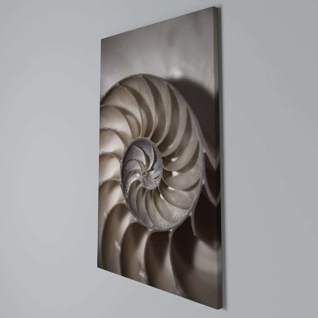 WHISPERS OF SHELLS Cuadro en lienzo vertical
