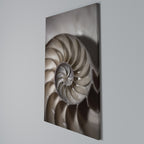 WHISPERS OF SHELLS Cuadro en lienzo vertical