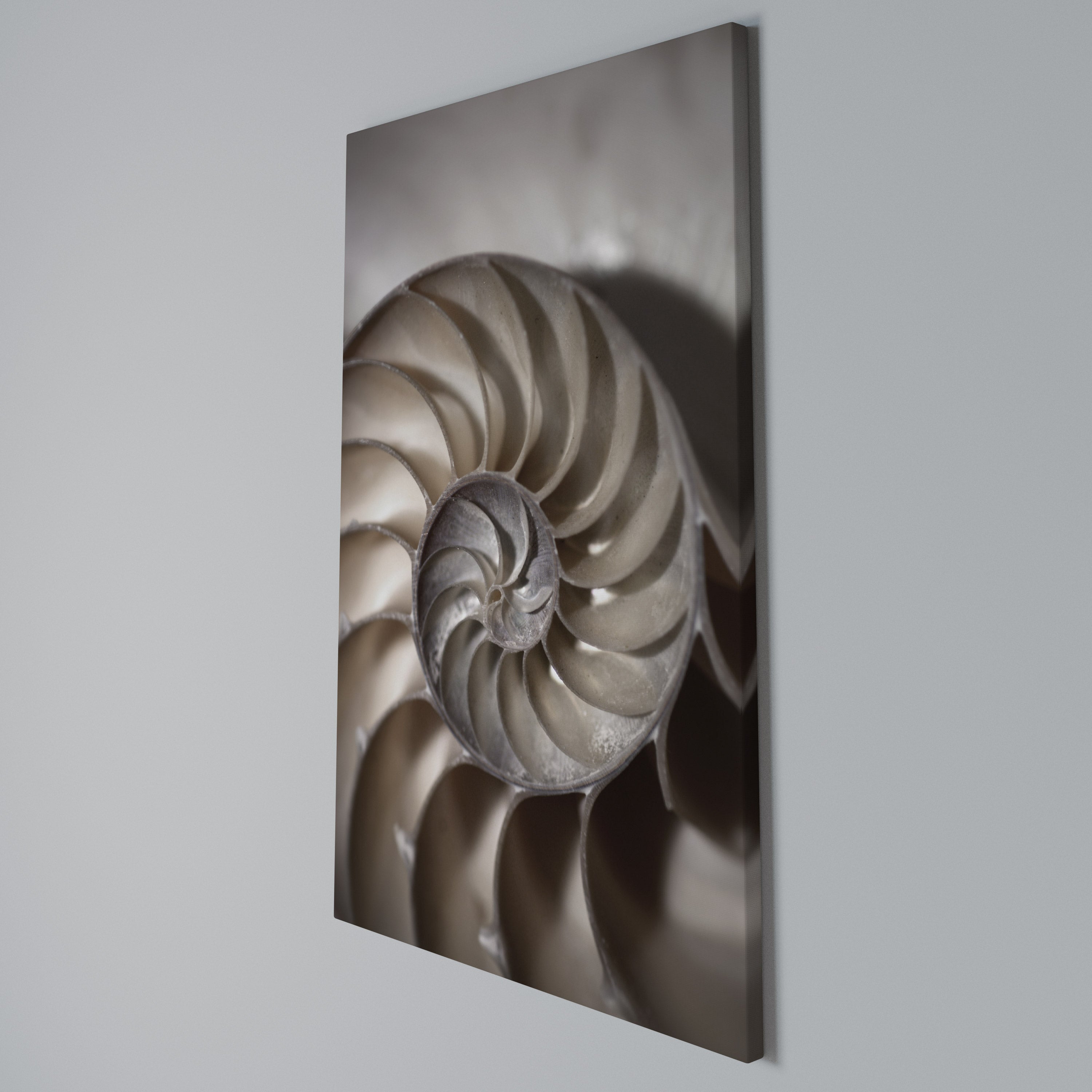 WHISPERS OF SHELLS Cuadro en lienzo vertical