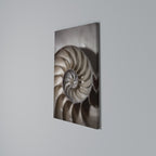WHISPERS OF SHELLS Cuadro en lienzo vertical