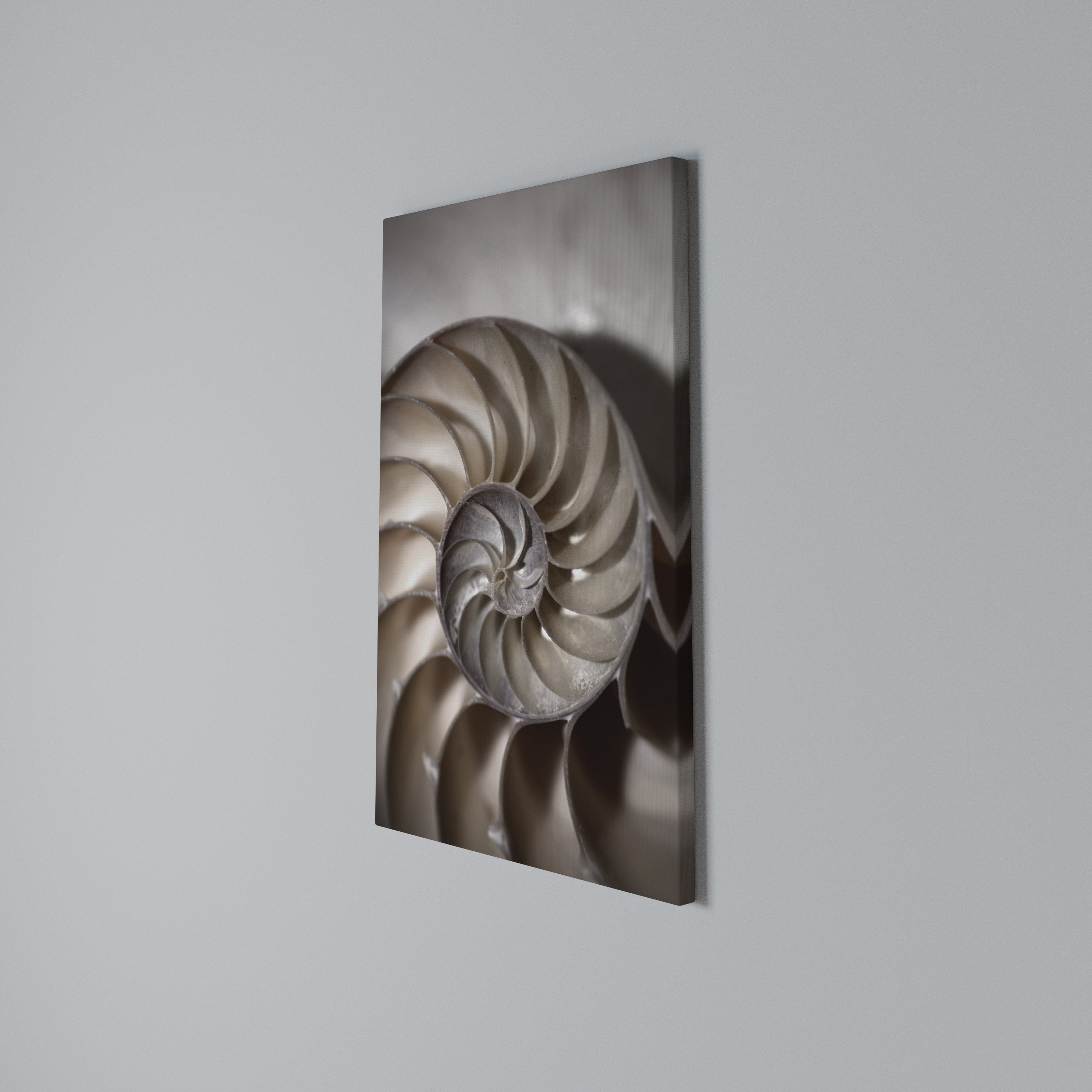 WHISPERS OF SHELLS Cuadro en lienzo vertical