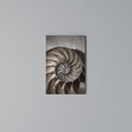WHISPERS OF SHELLS Cuadro en lienzo vertical