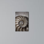 WHISPERS OF SHELLS Cuadro en lienzo vertical