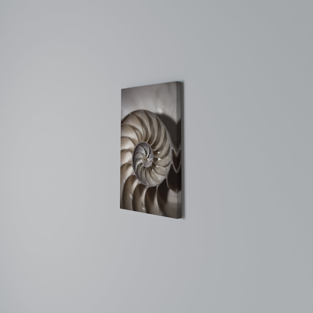 WHISPERS OF SHELLS Cuadro en lienzo vertical