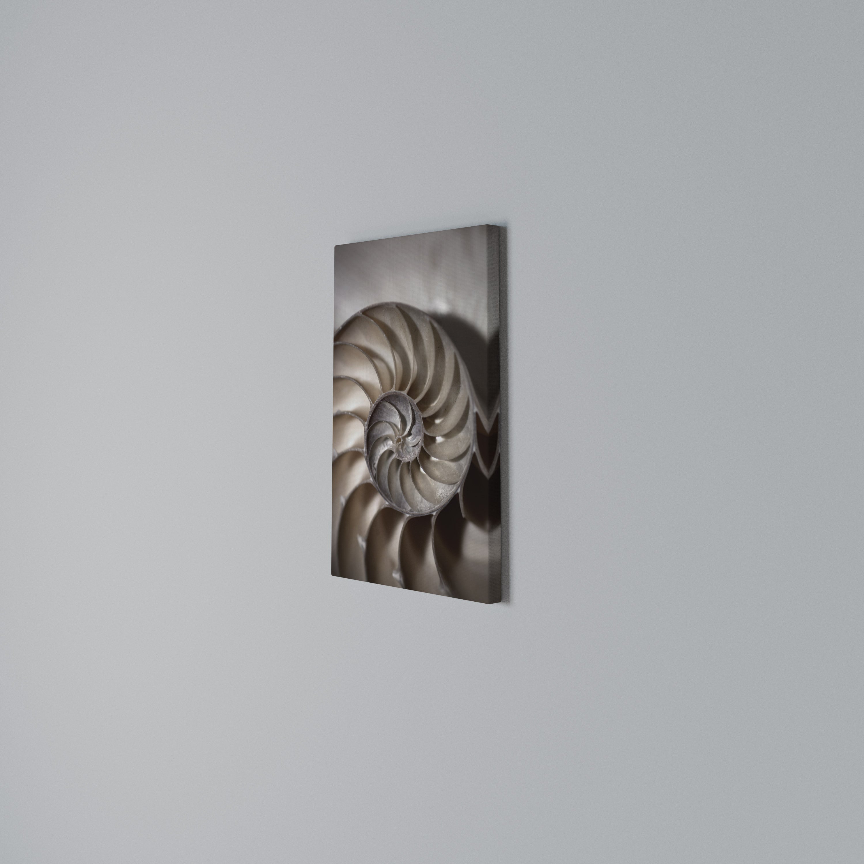 WHISPERS OF SHELLS Cuadro en lienzo vertical