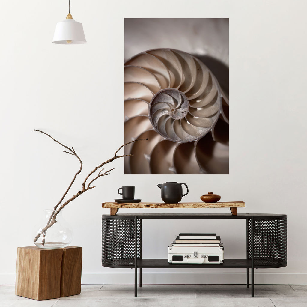 Susurros de conchas Póster vertical autoadhesivo