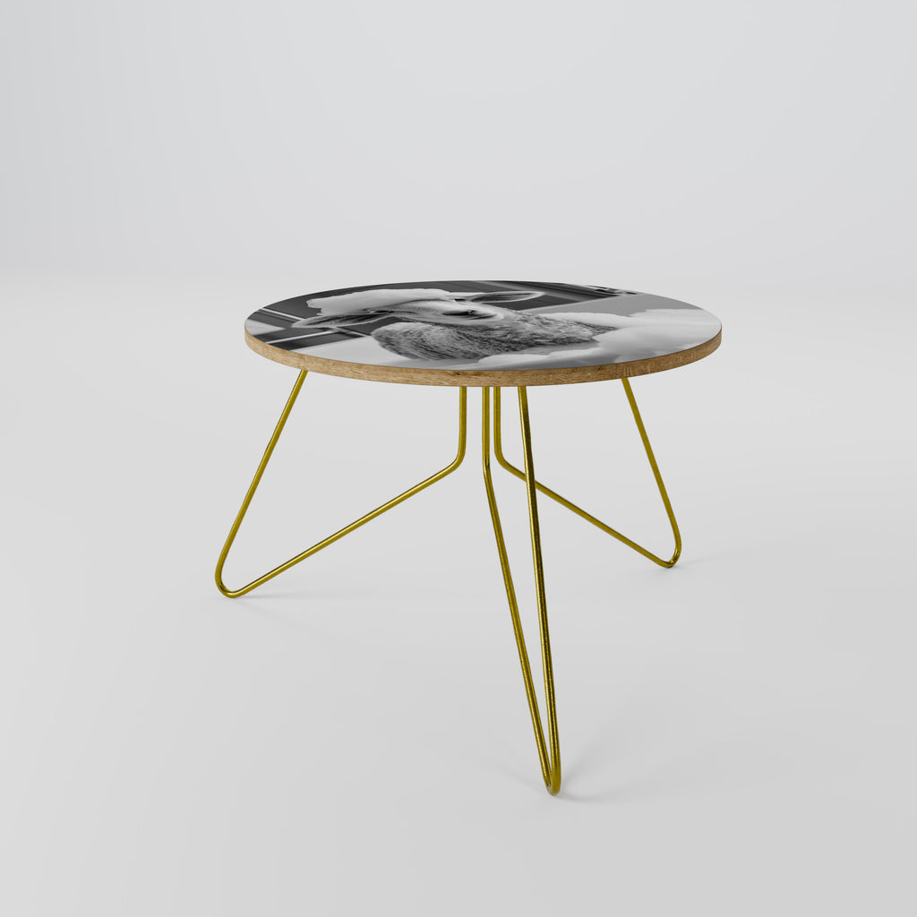 BUBBLE BATH BAA Coffee Table 60