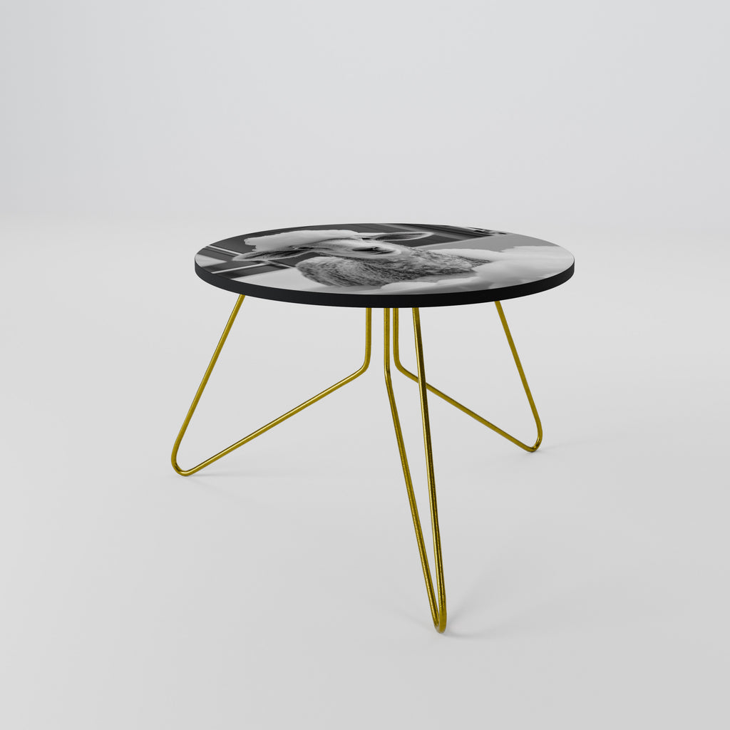 BUBBLE BATH BAA Coffee Table 60