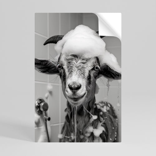 SOAPY GOAT GIGGLES Póster adhesivo vertical