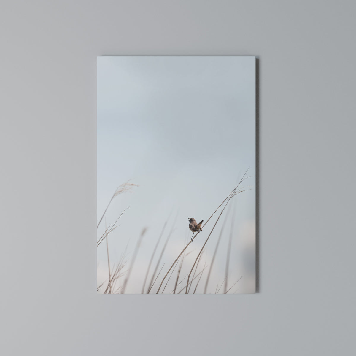 NATURE'S CHORUS Cuadro en lienzo vertical