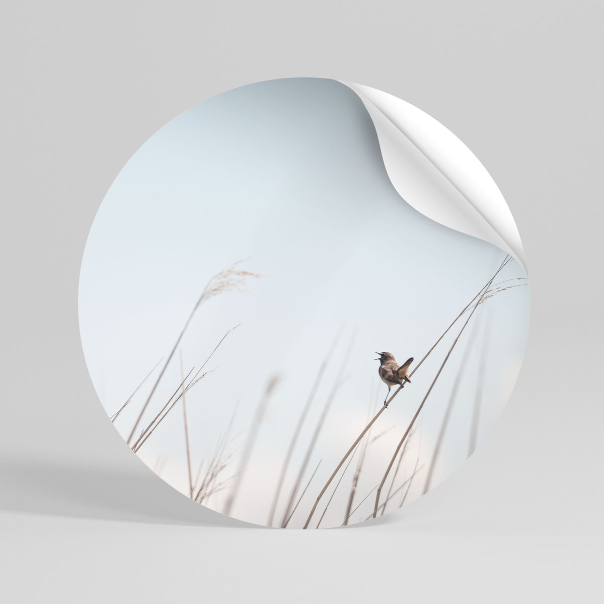 NATURE'S CHORUS Vinilo adhesivo redondo