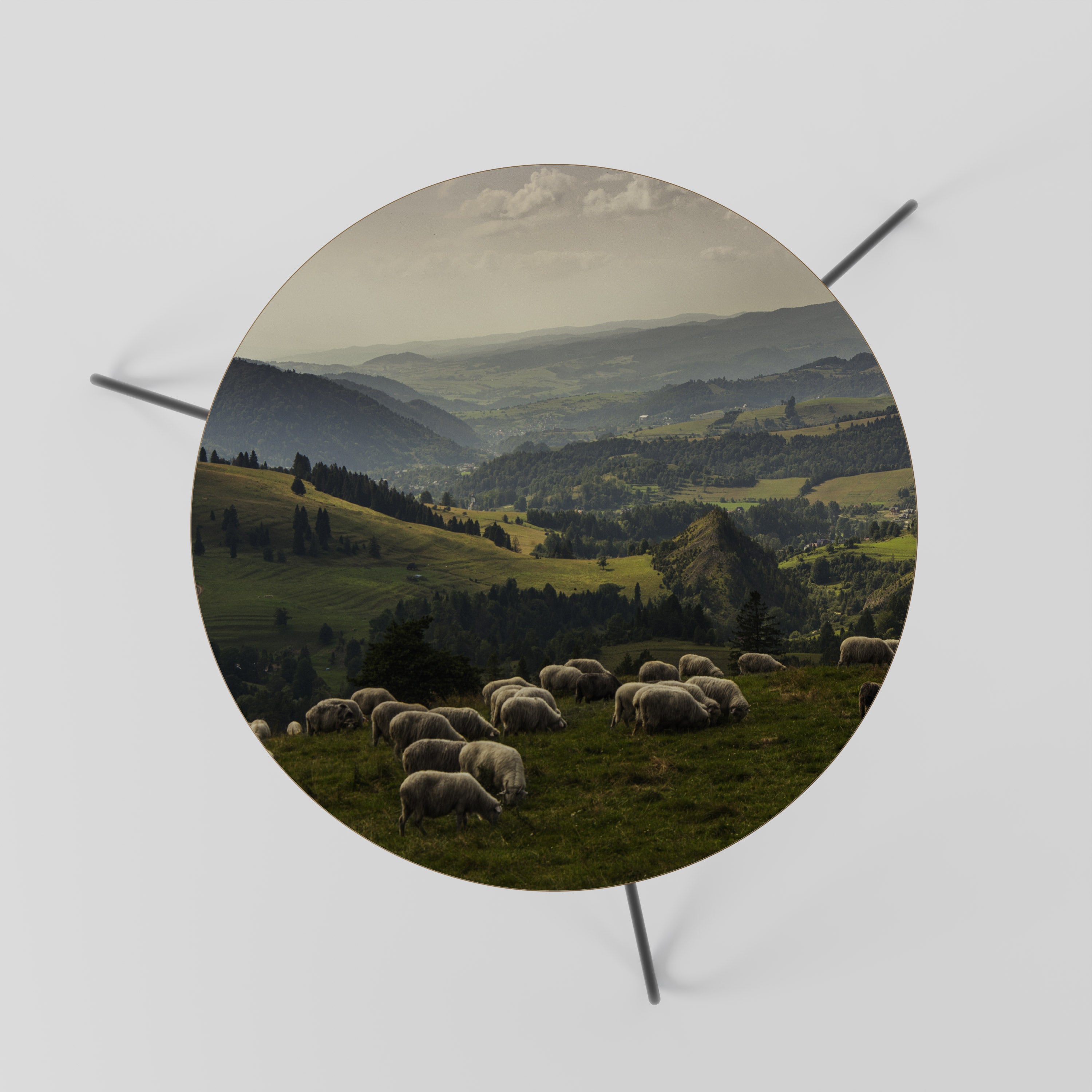 SHEEP IN SERENITY Coffee Table 60