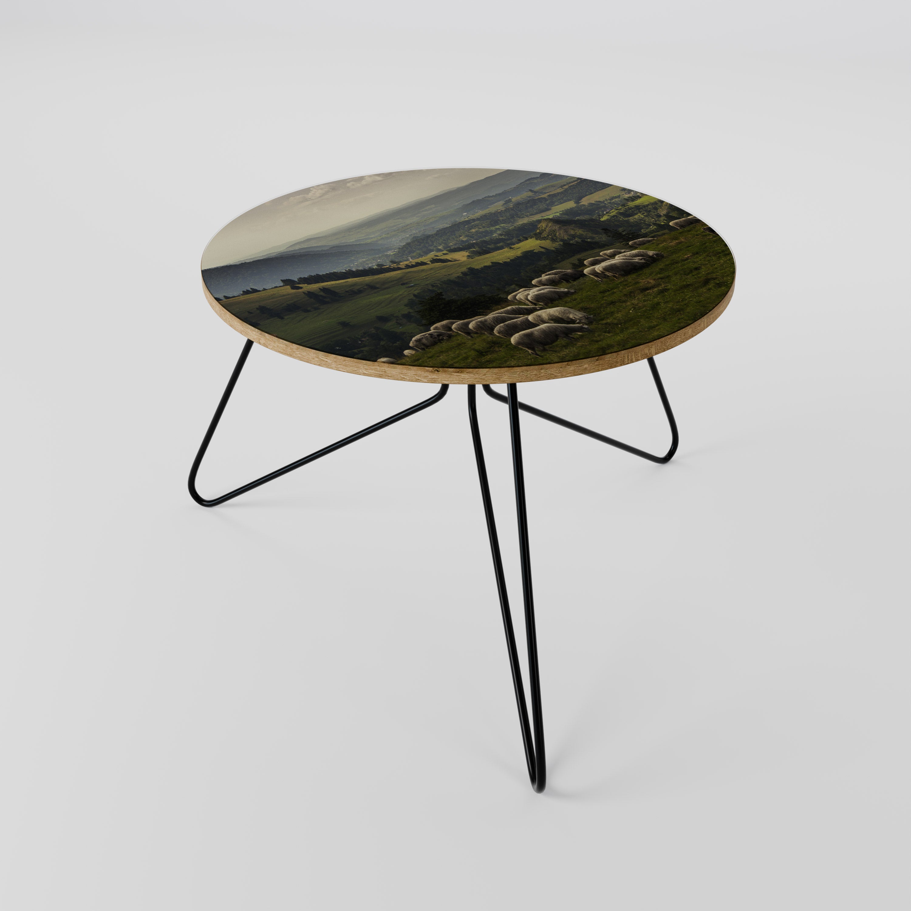 SHEEP IN SERENITY Coffee Table 60