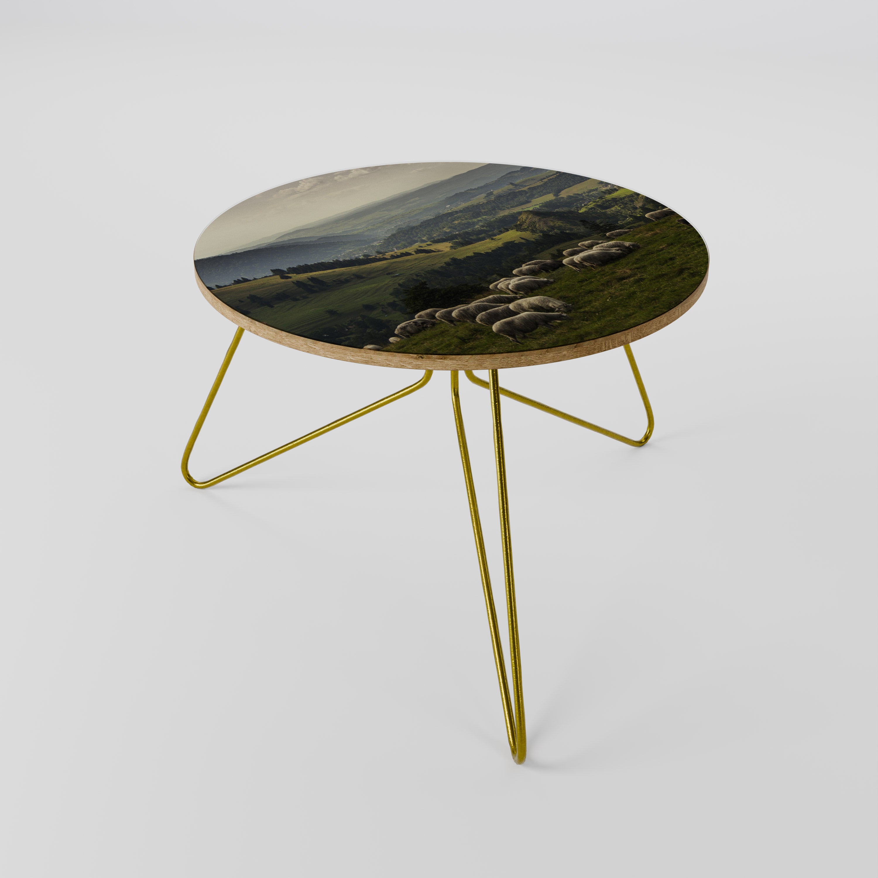 SHEEP IN SERENITY Coffee Table 60