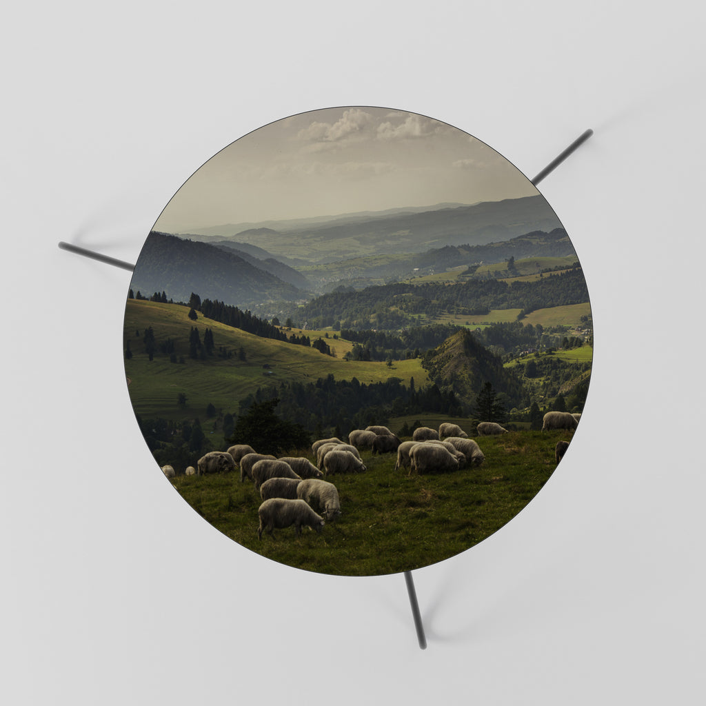 SHEEP IN SERENITY Coffee Table 60
