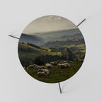 SHEEP IN SERENITY Coffee Table 60