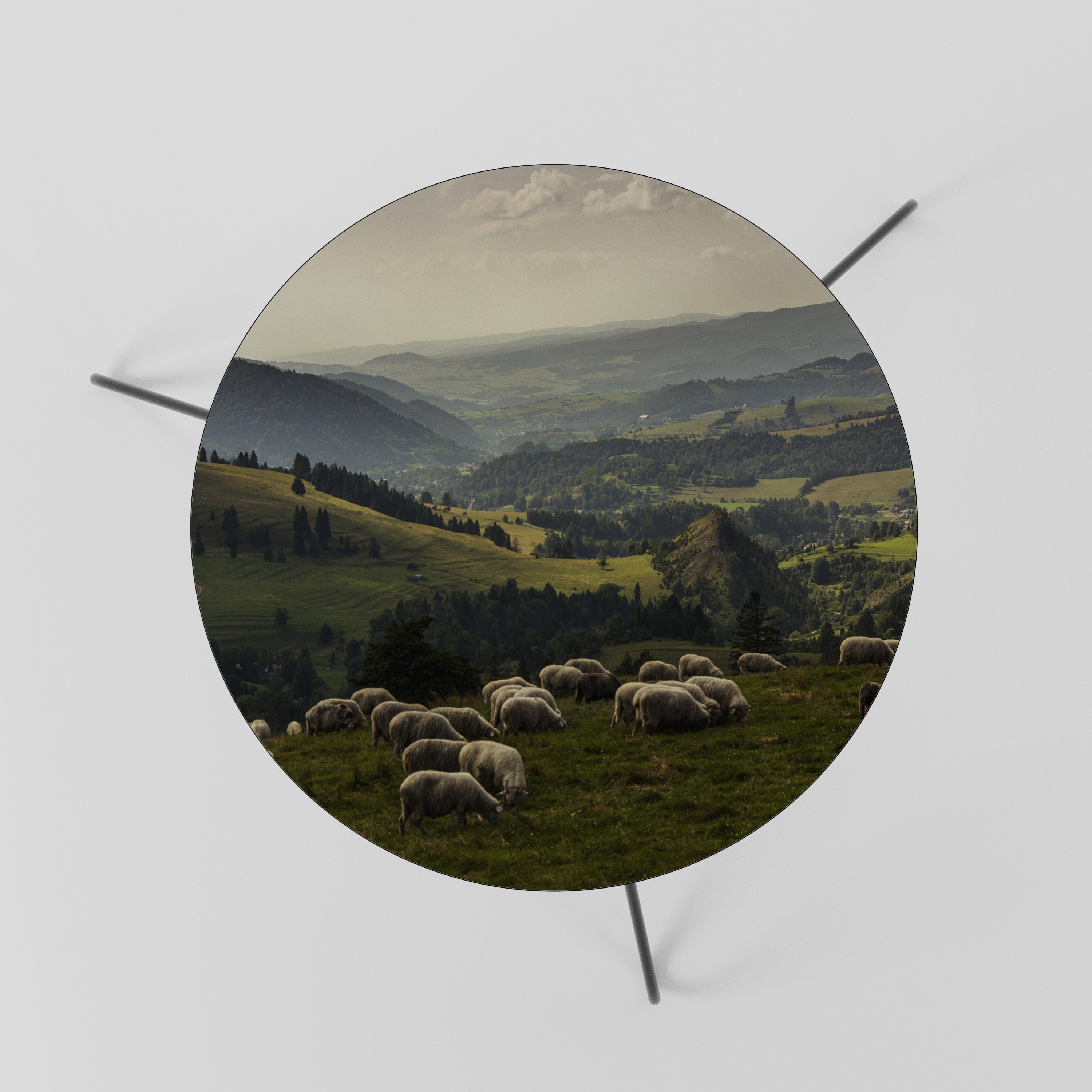 SHEEP IN SERENITY Coffee Table 60