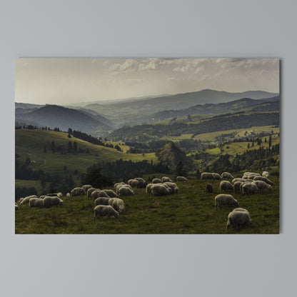 SHEEP IN SERENITY Cuadro en lienzo horizontal