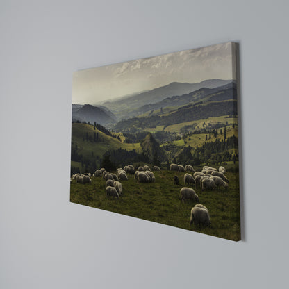 SHEEP IN SERENITY Cuadro en lienzo horizontal