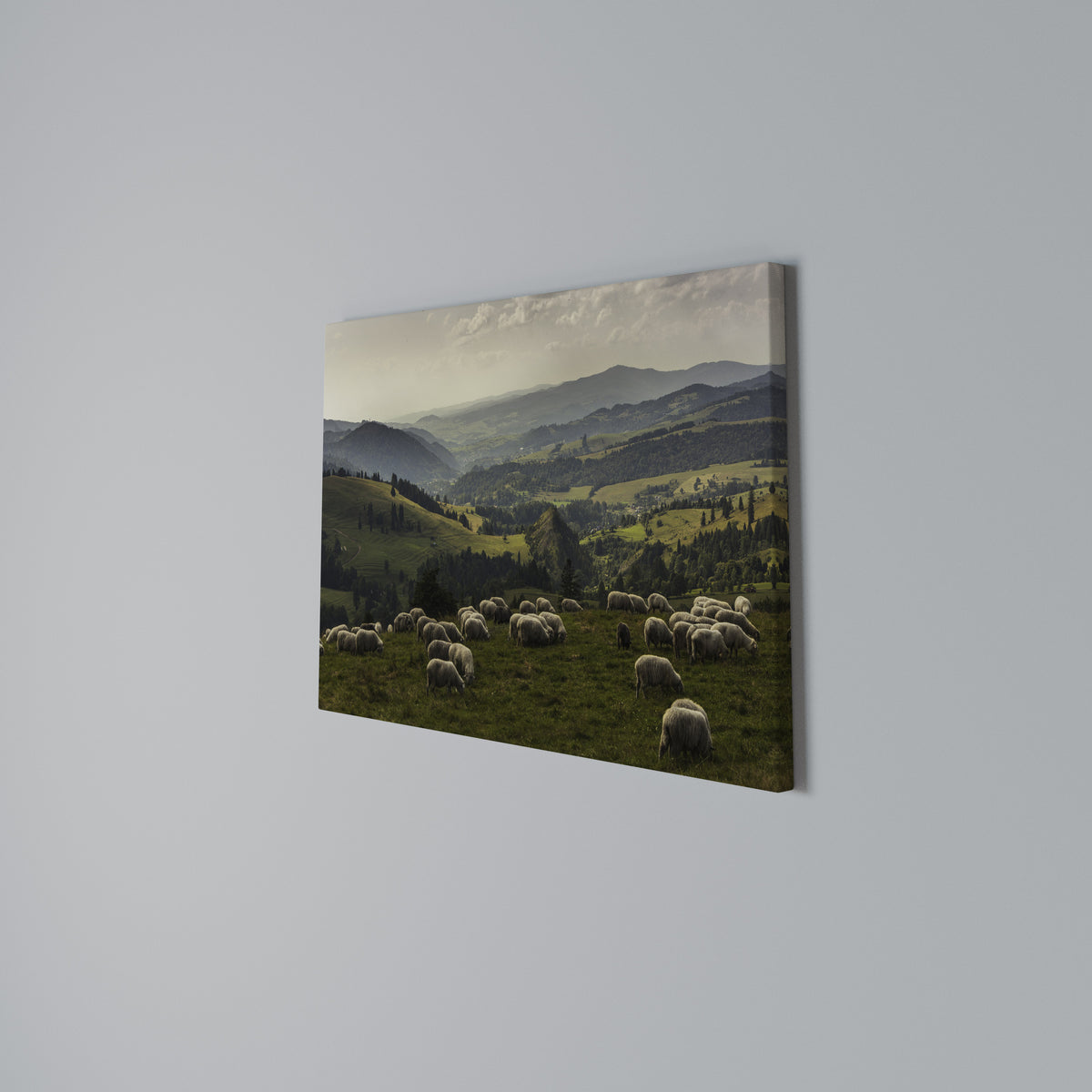 SHEEP IN SERENITY Cuadro en lienzo horizontal