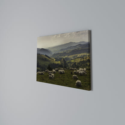 SHEEP IN SERENITY Cuadro en lienzo horizontal