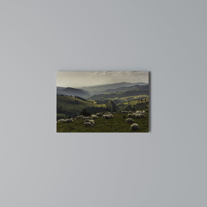 SHEEP IN SERENITY Cuadro en lienzo horizontal