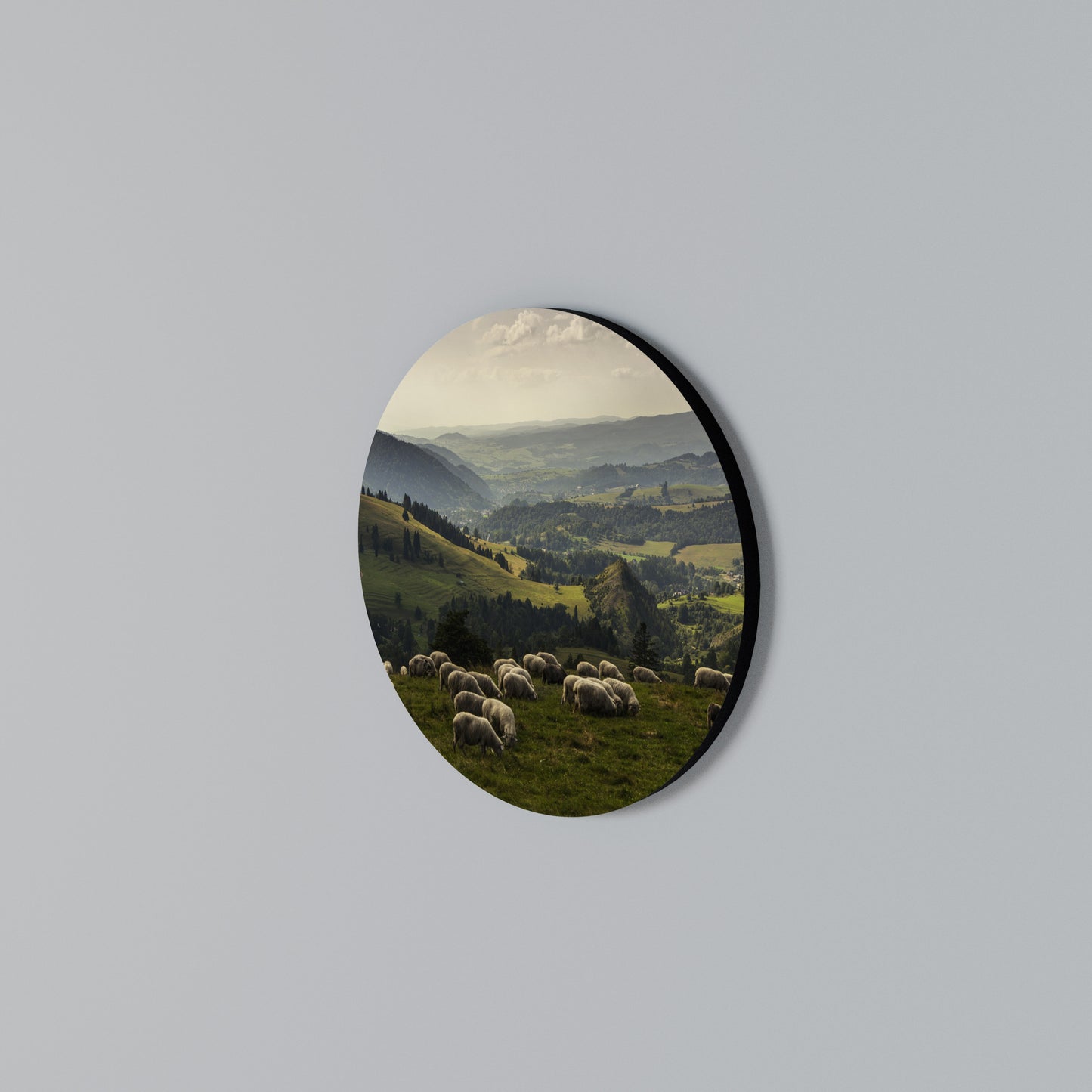 SHEEP IN SERENITY Arte de pared redondo