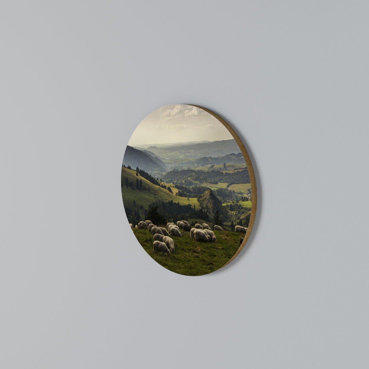 SHEEP IN SERENITY Arte de pared redondo