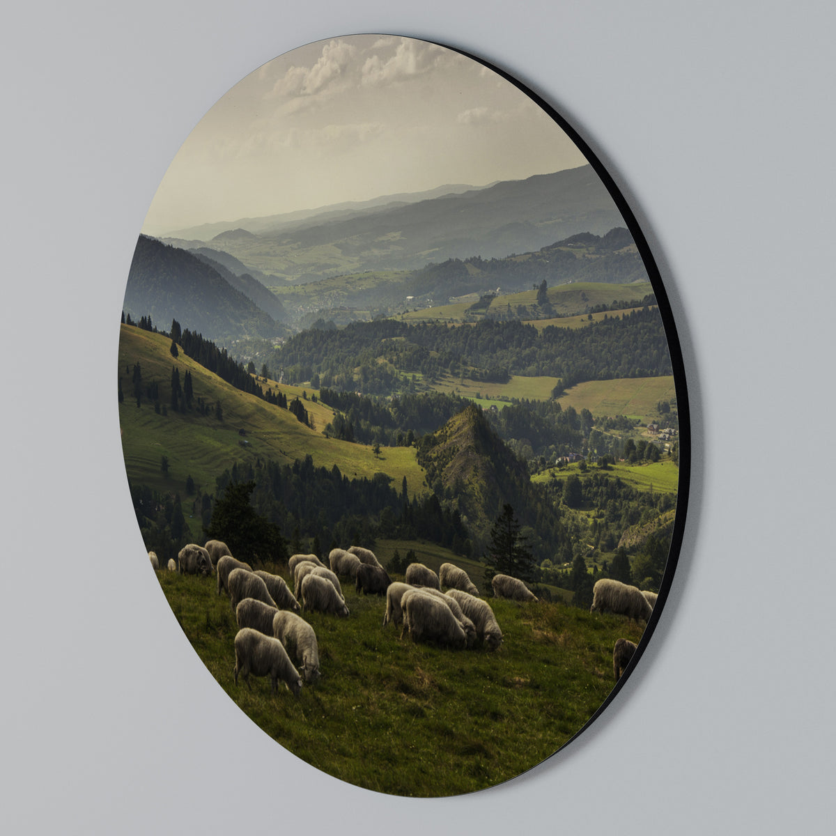 SHEEP IN SERENITY Arte de pared redondo