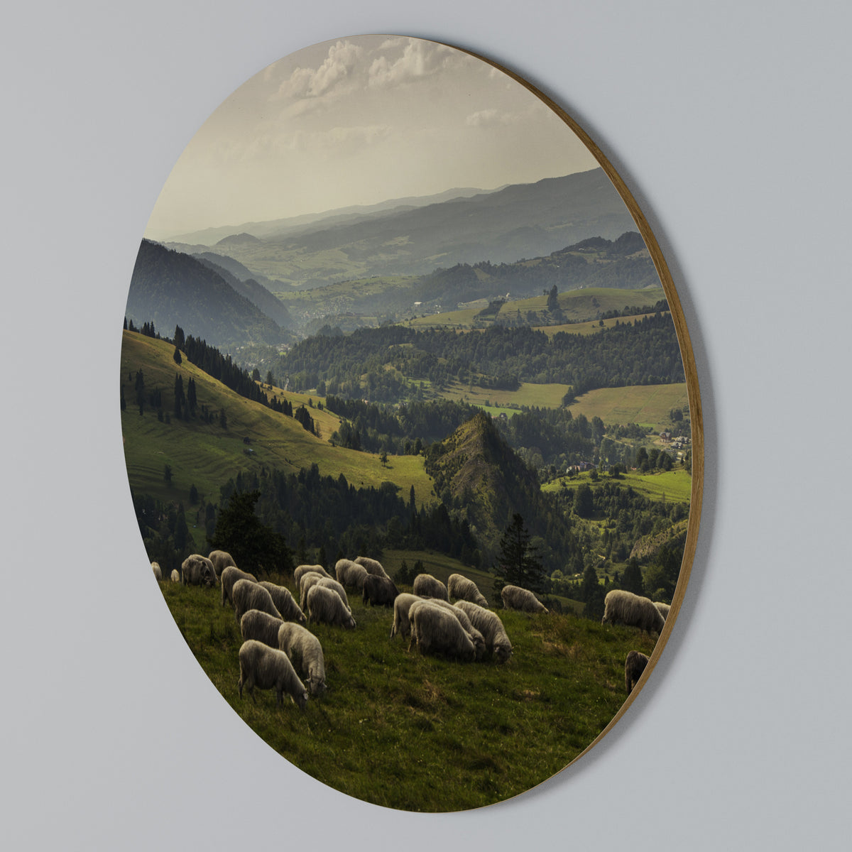 SHEEP IN SERENITY Arte de pared redondo