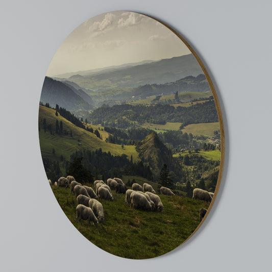 SHEEP IN SERENITY Arte de pared redondo