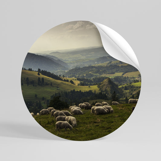 SHEEP IN SERENITY Vinilo adhesivo redondo