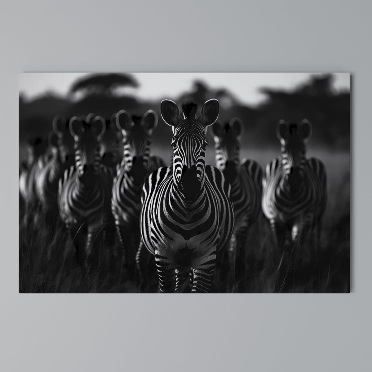 STRIPED SYMPHONY SAGA Cuadro en lienzo horizontal