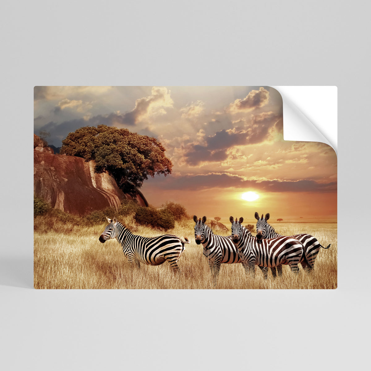 ZEBRA SUNSET SERENADE Póster adhesivo horizontal