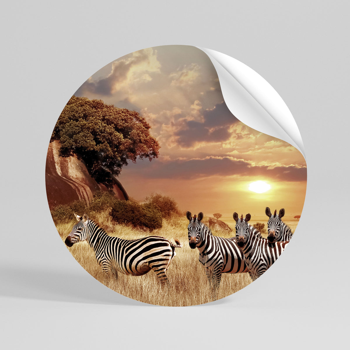 ZEBRA SUNSET SERENADE Vinilo adhesivo redondo