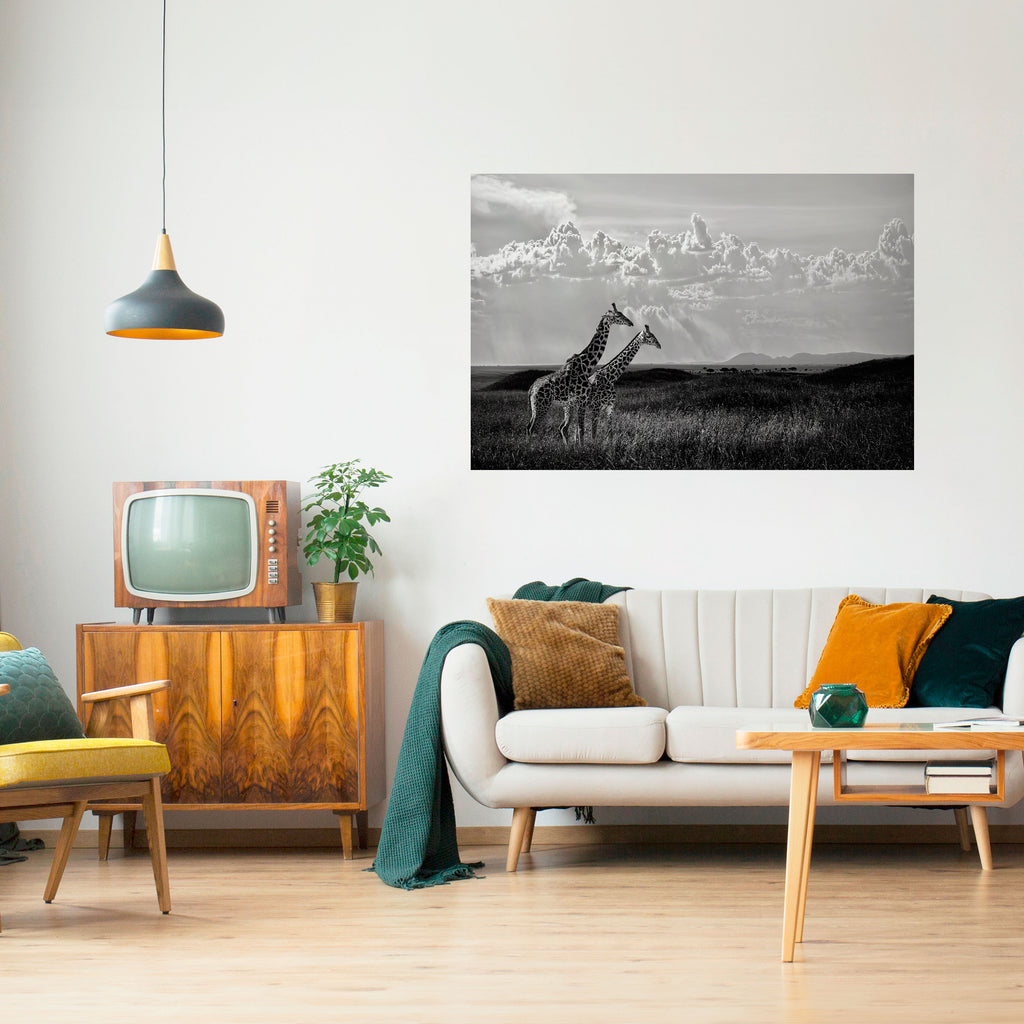 ELEGANT HEIGHTS UNVEILED Peel and Stick Horizontal Poster