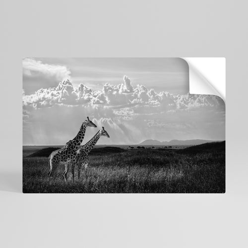 ELEGANT HEIGHTS UNVEILED Póster adhesivo horizontal