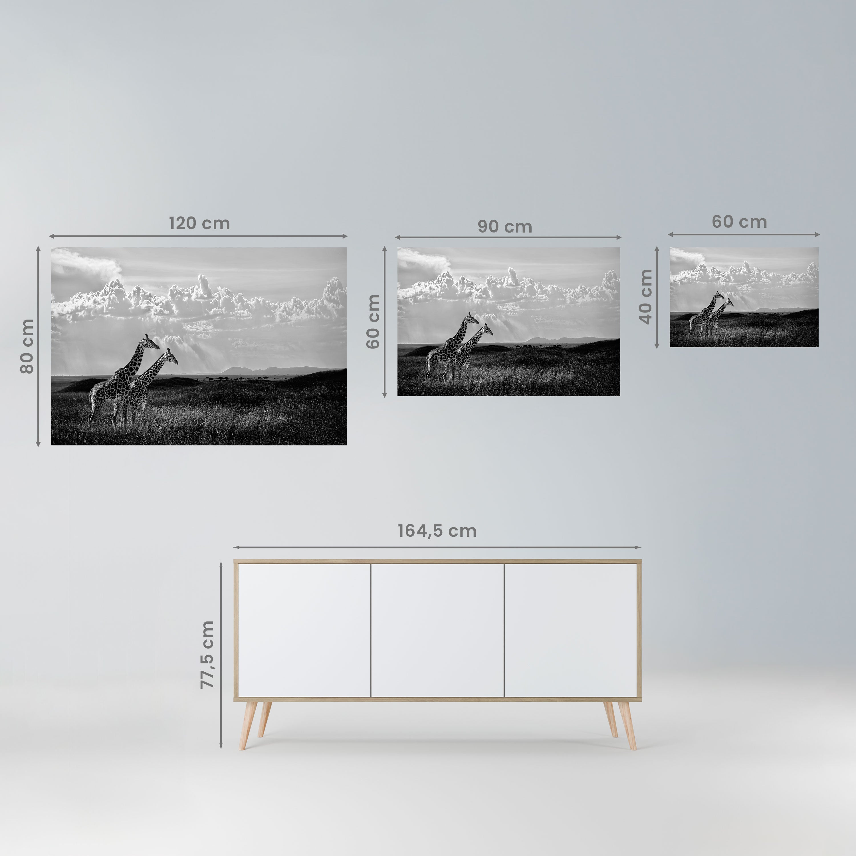 ELEGANT HEIGHTS UNVEILED Peel and Stick Horizontal Poster