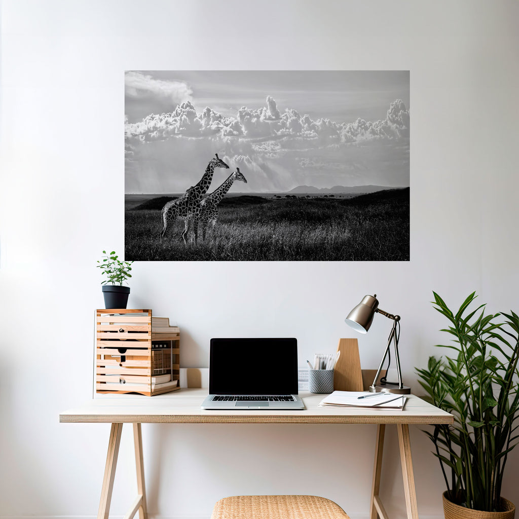 ELEGANT HEIGHTS UNVEILED Peel and Stick Horizontal Poster