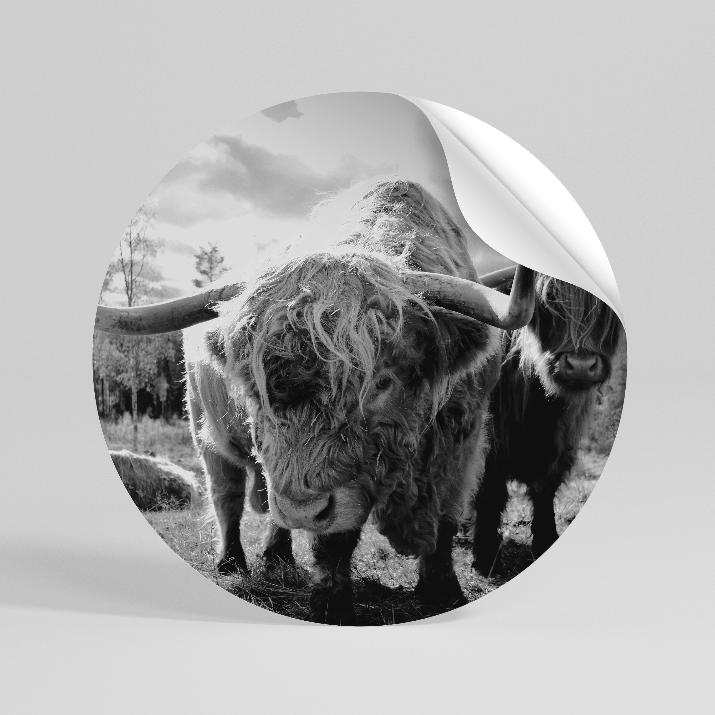 STILLNESS OF OLD SOULS Peel and Stick Round Sticker