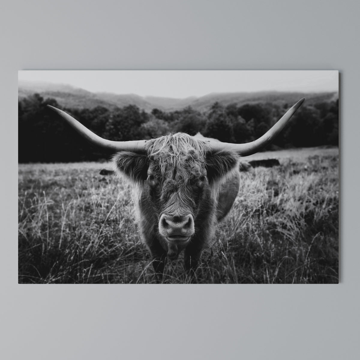 HORNED HERO IN FOCUS Cuadro en lienzo horizontal