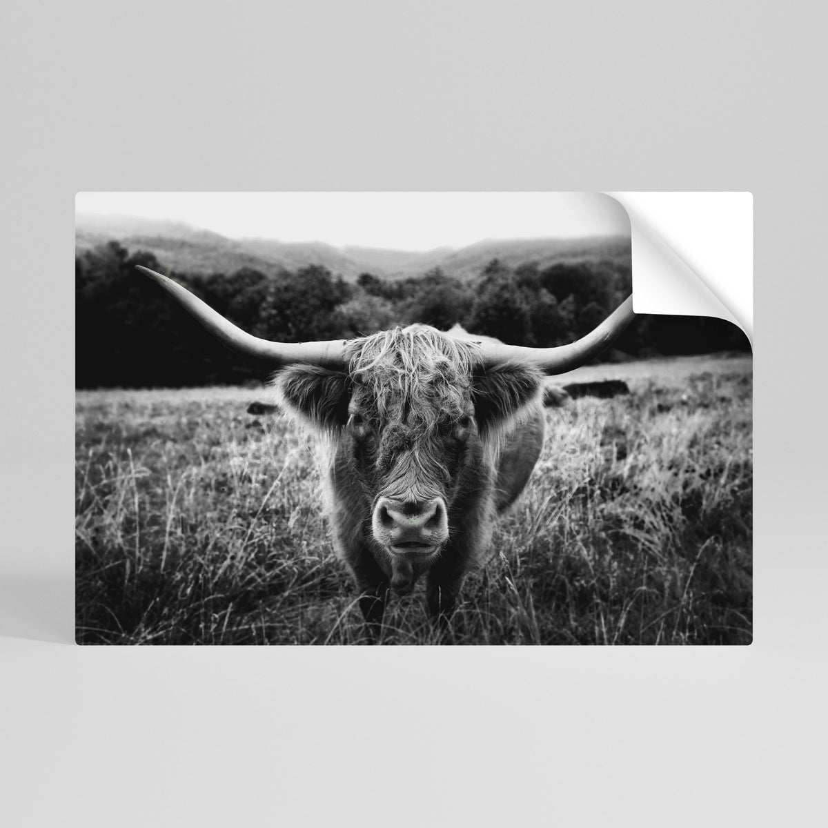 HORNED HERO IN FOCUS Póster adhesivo horizontal