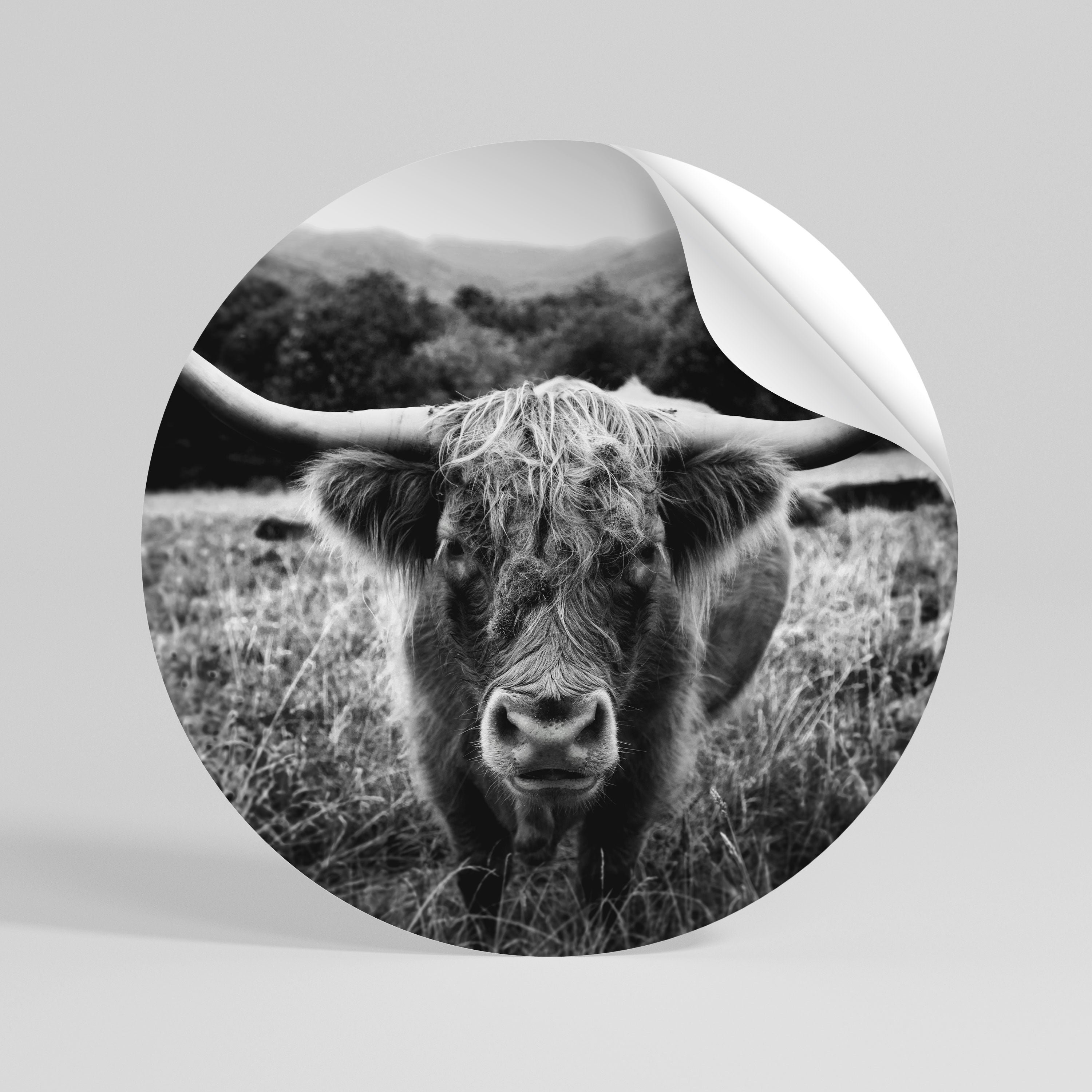 HORNED HERO IN FOCUS Peel and Stick Round Sticker