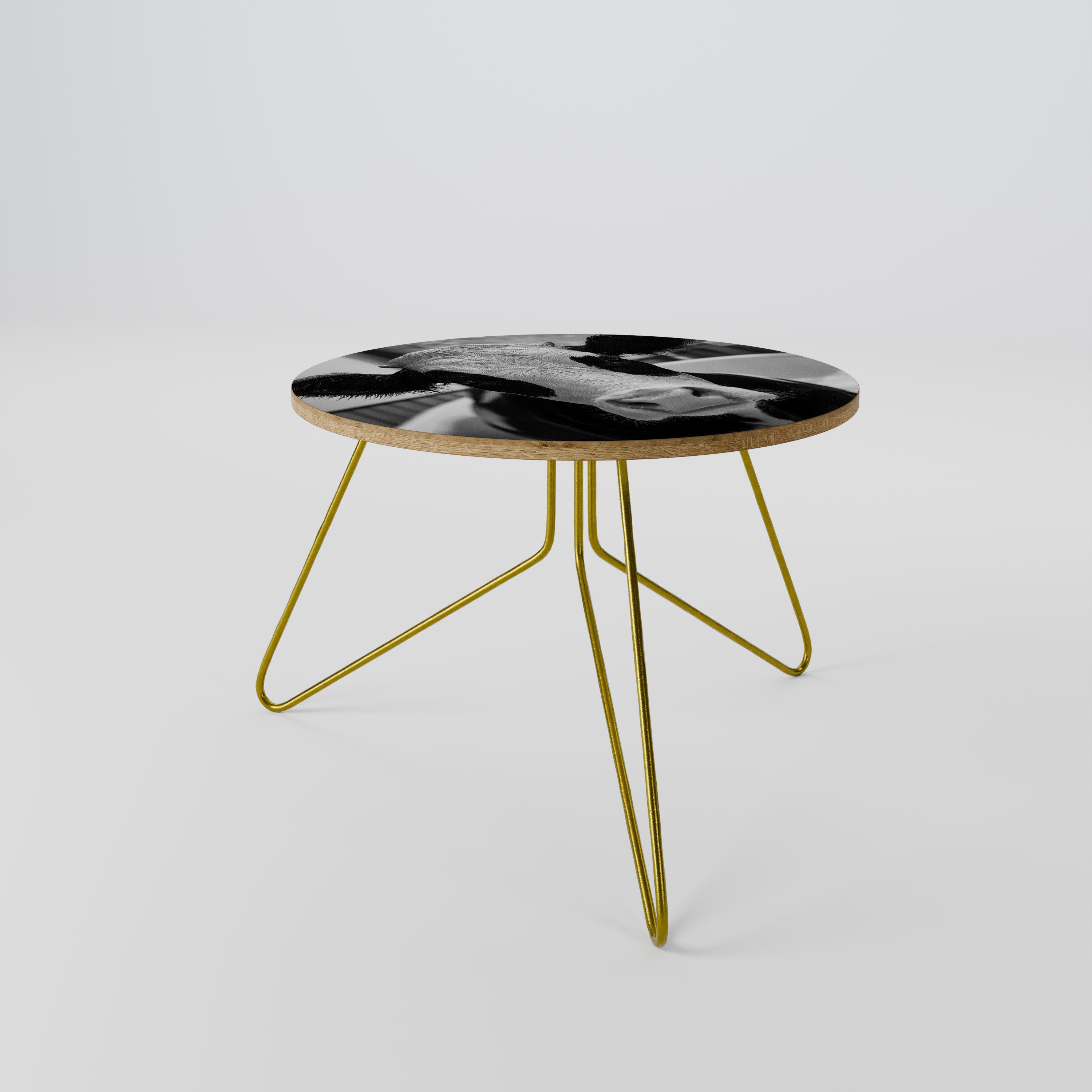 MONOCHROME MOOOD Coffee Table
