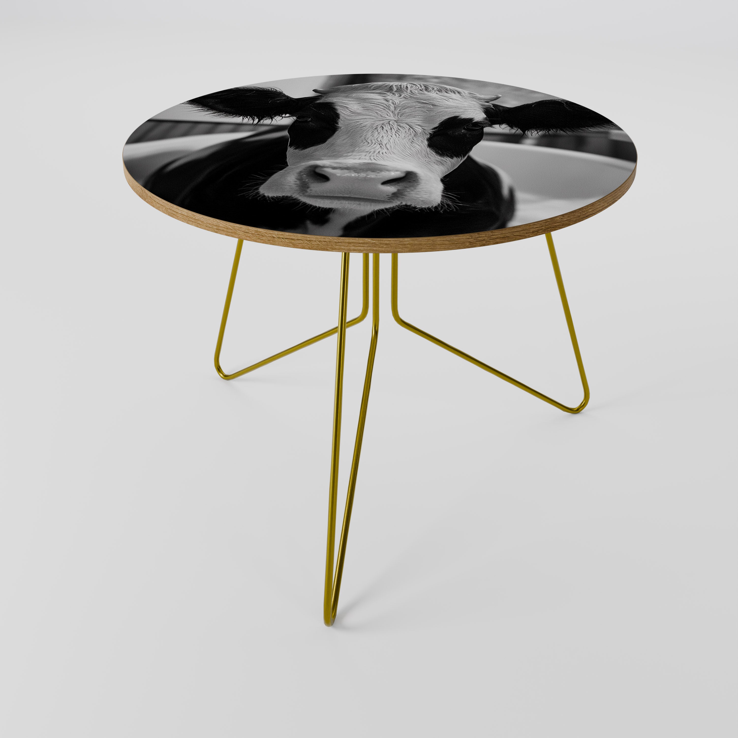 MONOCHROME MOOOD Coffee Table 69